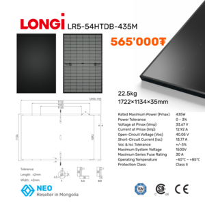 Longi Hi-MO X6 all black
