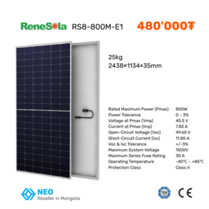 ReneSolar 800W