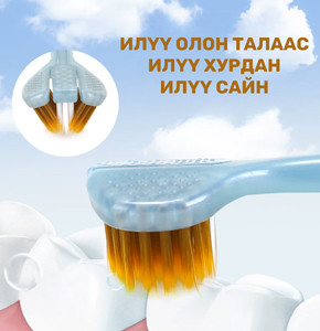 Эрүүл мэндийн 3 талт сойз