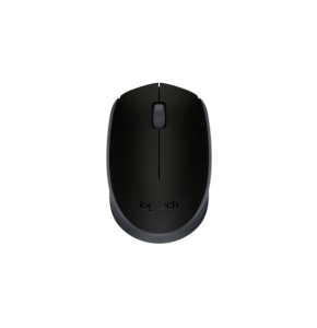 Logitech M171